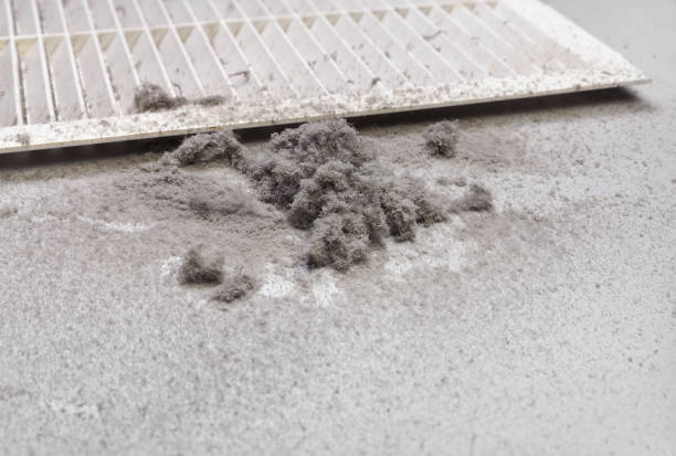 Best HVAC Maintenance and Cleaning  in Norco, LA